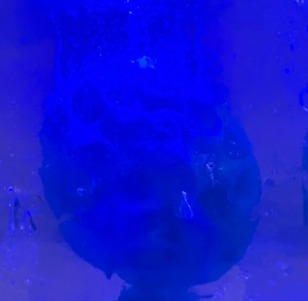 (signed) This Is Not What Thought / Yuri Hasegawa